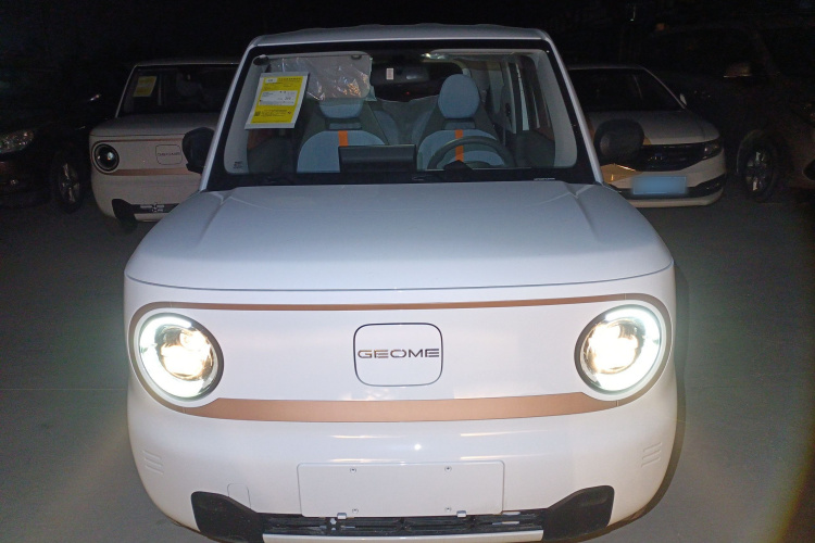 吉利银河 2024款 熊猫mini 200km 耐力熊车身外观6001