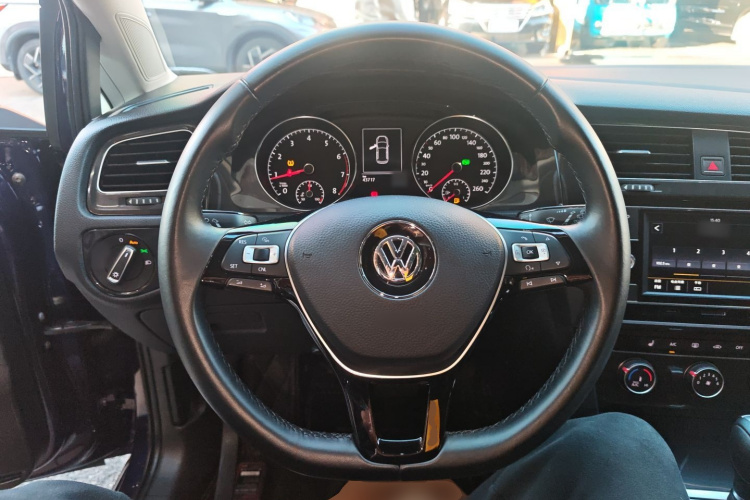 大众 高尔夫 2018款  230TSI 自动豪华型局部细节13