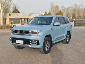 北京BJ60 2022款  2.0T 五一版 五座