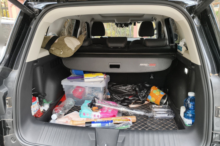 哈弗大狗 2024款 2.0T DCT中华田园犬版中控内饰23