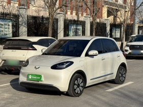 五菱汽车 五菱缤果 2024款 333km 悦享款