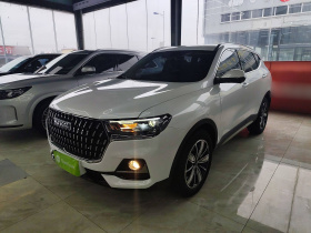 哈弗H6 2023款 国潮版 1.5T 自动冠军版