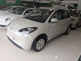 五菱汽车 五菱缤果 2024款 203km 轻享款