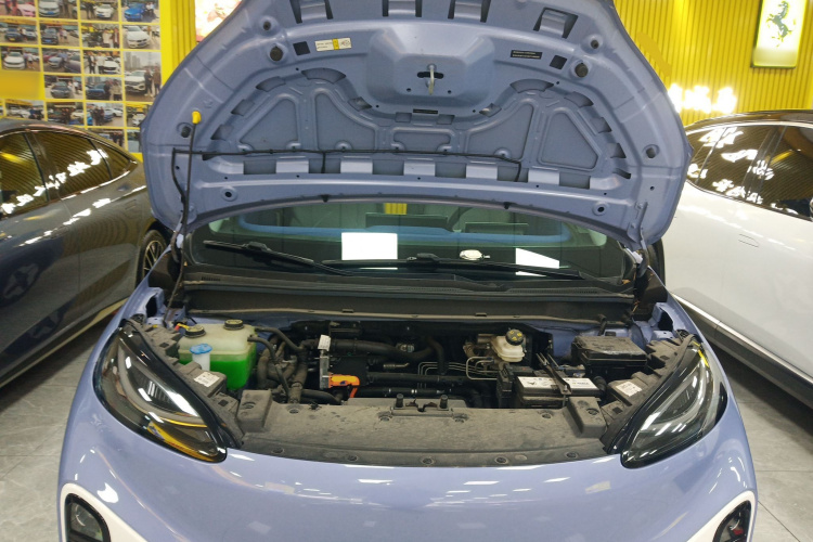 ARCFOX极狐 极狐考拉 2023款 家庭版Pro机舱底盘24