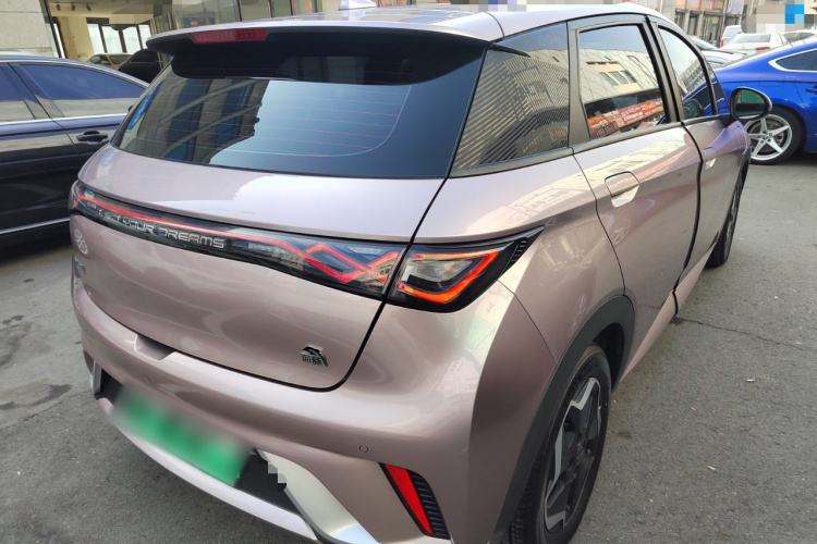 比亚迪 海豚 2021款 405km 自由版车身外观7