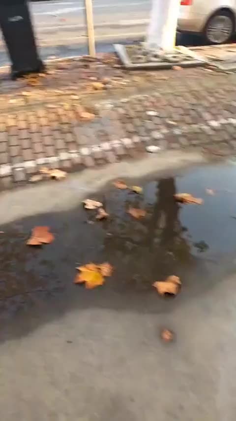 宝骏530 2018款 1.5T DCT旗舰型 国V讲解2