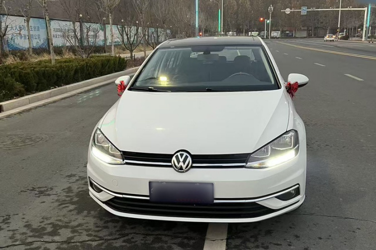 大众 高尔夫 2019款 280TSI DSG舒适型 国VI车身外观6001