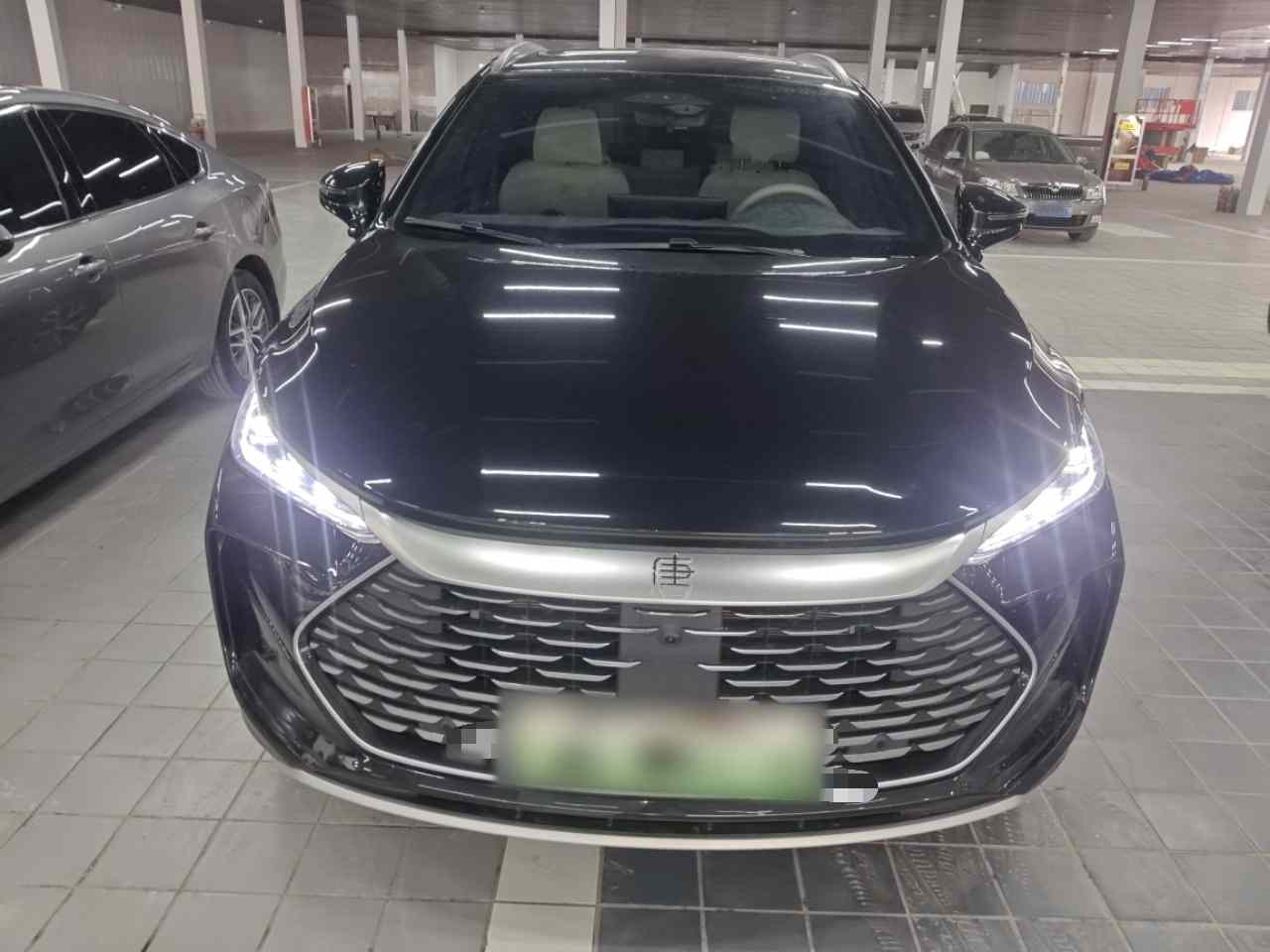 比亚迪 唐新能源 2025款 智驾版 DM-i 115KM 尊贵型(1)