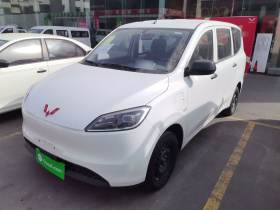 五菱汽车 五菱宏光新能源 2024款 纯电版 300KM 标准型