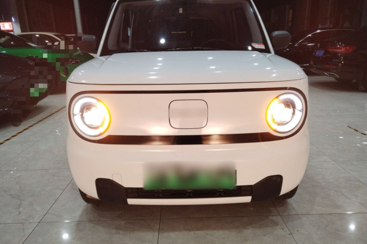 吉利银河 2024款 熊猫mini 200km 耐力熊车身外观2