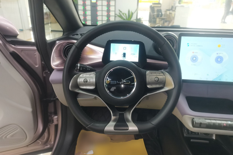 比亚迪 海豚 2021款 401km 骑士版局部细节13