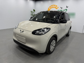 五菱汽车 五菱缤果 2024款 203km 轻享款