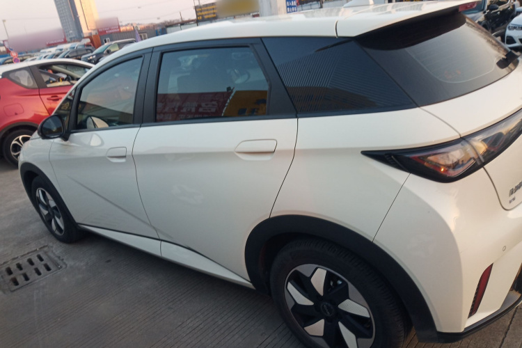 比亚迪 海豚 2024款 荣耀版 420km 自由版车身外观4