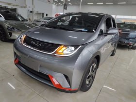 比亚迪 海豚 2021款 405km 时尚版