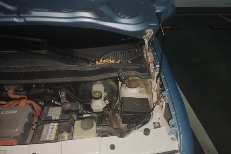 欧拉黑猫 2021款 351km 标准型局部细节9007