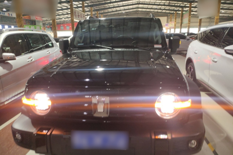 坦克300 2024款 2.0T 征服者车身外观2