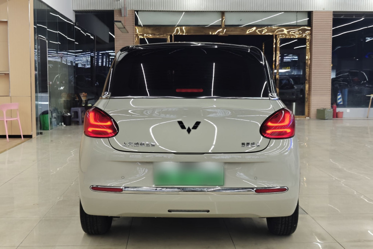 五菱汽车 五菱缤果 2023款 333km 灵犀互联+款车身外观6002