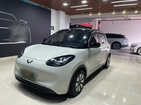 五菱汽车 五菱缤果 2023款 410km 灵犀尊享款