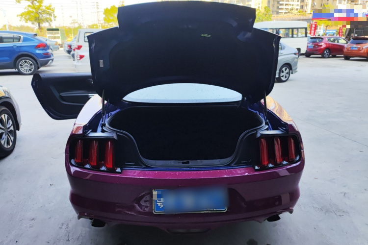 福特Mustang（平行进口） 局部细节23