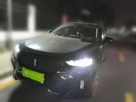 魏牌 VV7 2019款 升级款 2.0T 旗舰型 国V