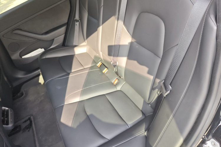 特斯拉 Model 3 2021款 标准续航后驱升级版 3D6中控内饰21