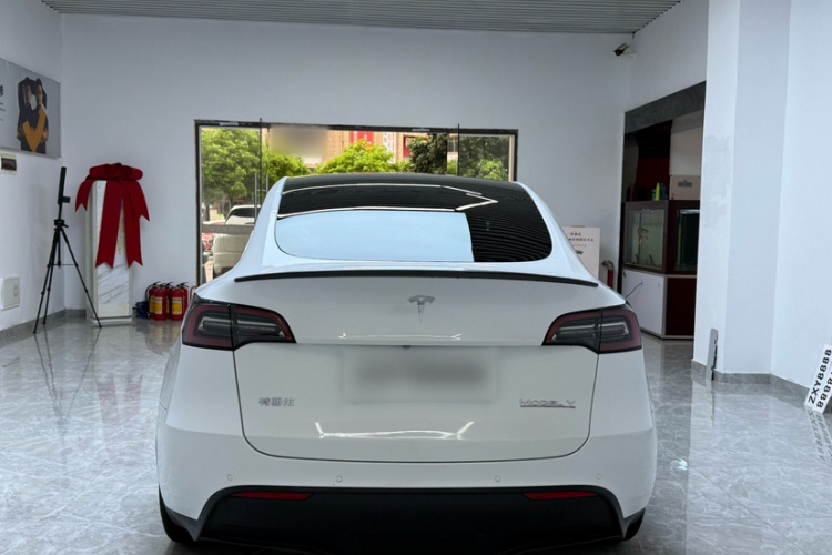 特斯拉 Model Y 2022款 Performance高性能全轮驱动版车身外观6008