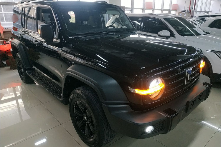 坦克300 2024款 2.0T 征服者车身外观3