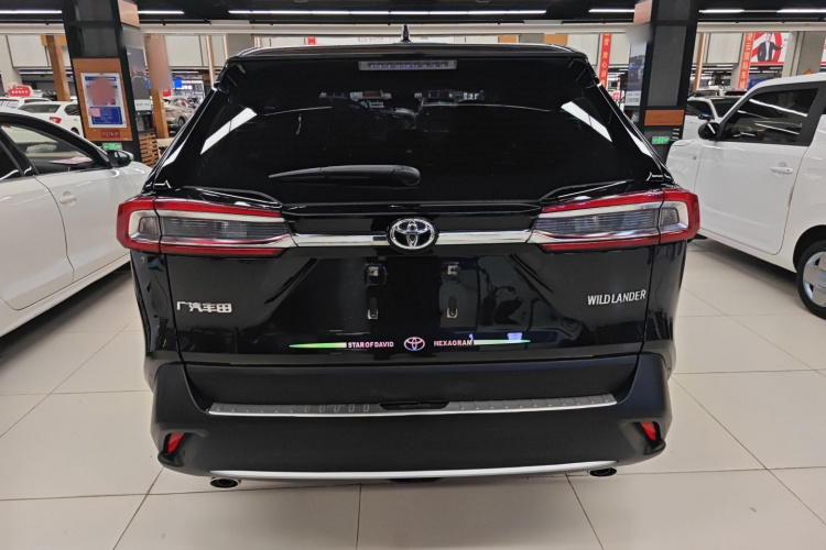 丰田 威兰达 2020款 2.0L CVT两驱豪华版车身外观6004