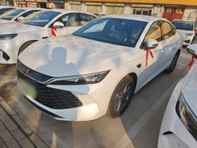 比亚迪 秦L 2025款 DM-i 智驾版 80KM领先型