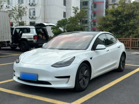 特斯拉 Model 3 2022款 后轮驱动版