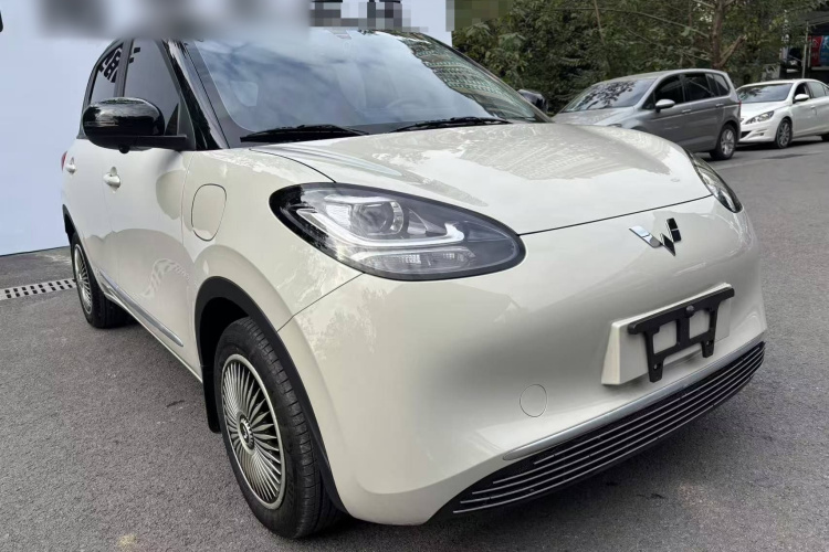 五菱汽车 五菱缤果 2024款 203km 轻享款车身外观6009