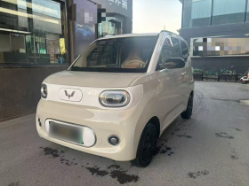 五菱汽车 宏光MINIEV 2024款 第三代 215km 进阶版