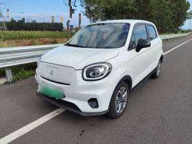 零跑汽车 零跑T03 2024款 403舒享版