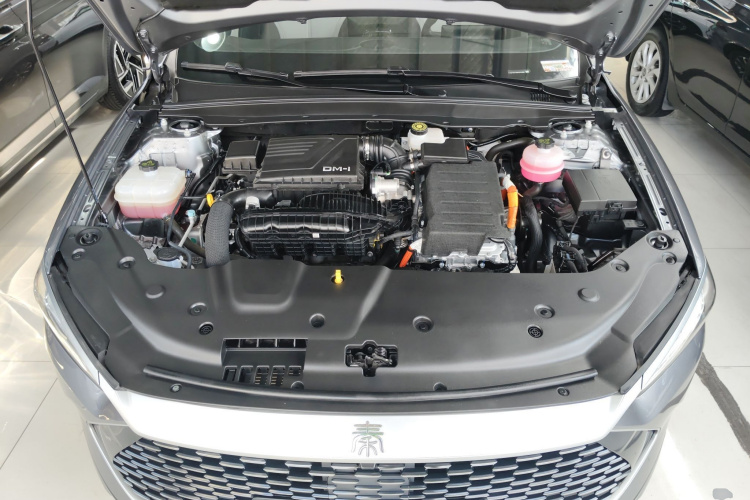 比亚迪 秦PLUS 2024款 荣耀版 DM-i 55KM领先型机舱底盘24