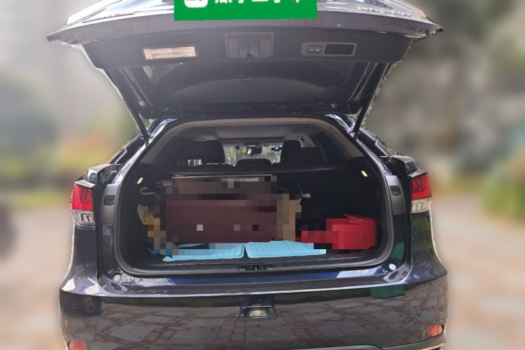 雷克萨斯RX 2020款 改款 300 四驱典雅版中控内饰23