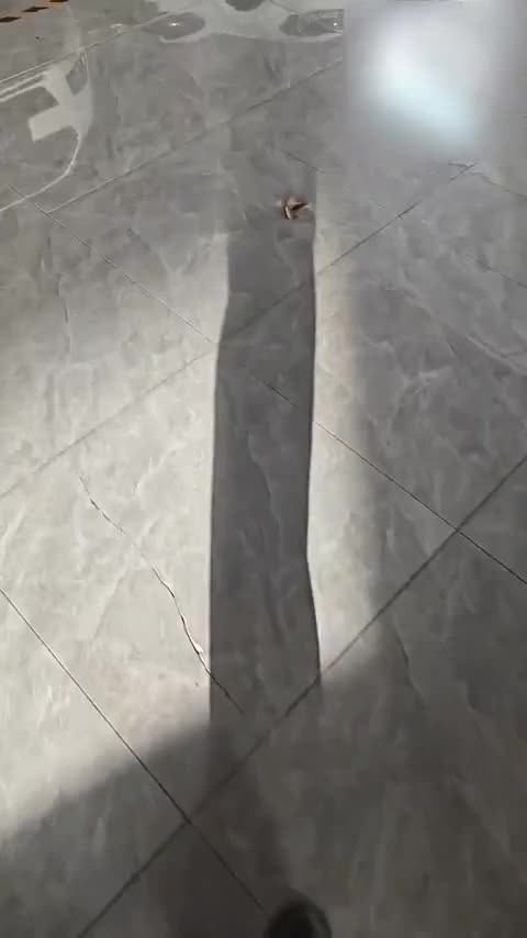 大众 高尔夫 2017款 1.6L 自动舒适百万辆纪念版讲解1