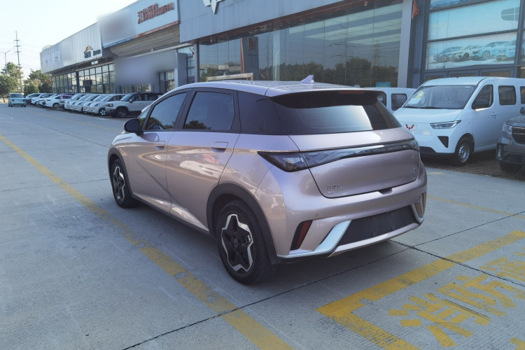 比亚迪 海豚 2021款 405km 自由版车身外观6008