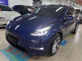 特斯拉 Model Y 2021款 长续航全轮驱动版