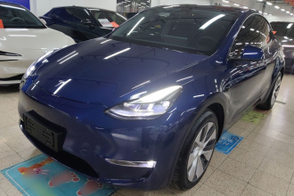 特斯拉 Model Y 2021款 长续航全轮驱动版