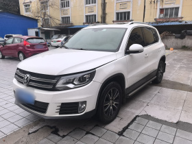 大众 途观 2015款 1.8TSI 自动两驱豪华型