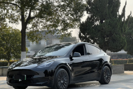 特斯拉 Model Y 2022款 后轮驱动版