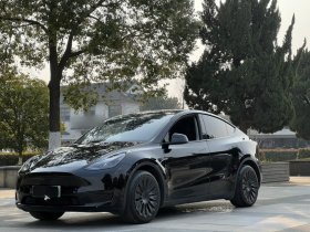 特斯拉 Model Y 2022款 后轮驱动版