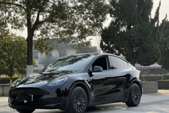 特斯拉 Model Y 2022款 后轮驱动版