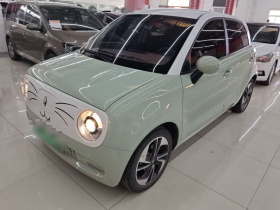 欧拉黑猫 2022款 351km 舒适型 三元锂