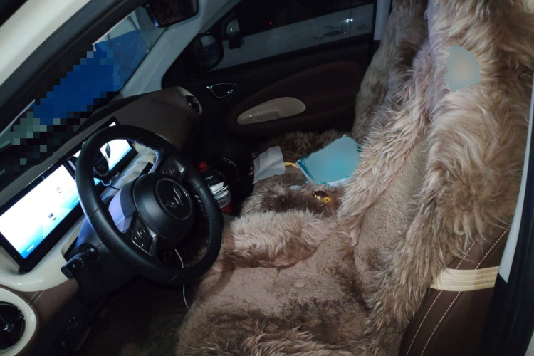 五菱汽车 五菱缤果 2023款 410km 灵犀尊享款局部细节19