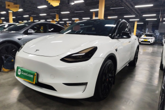 特斯拉 Model Y 2021款 长续航全轮驱动版