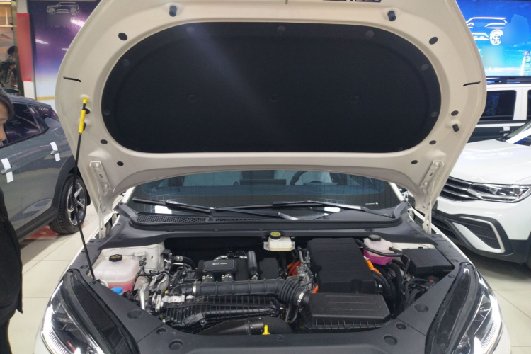 比亚迪 海豹06新能源 2024款 DM-i 120KM尊荣型局部细节24