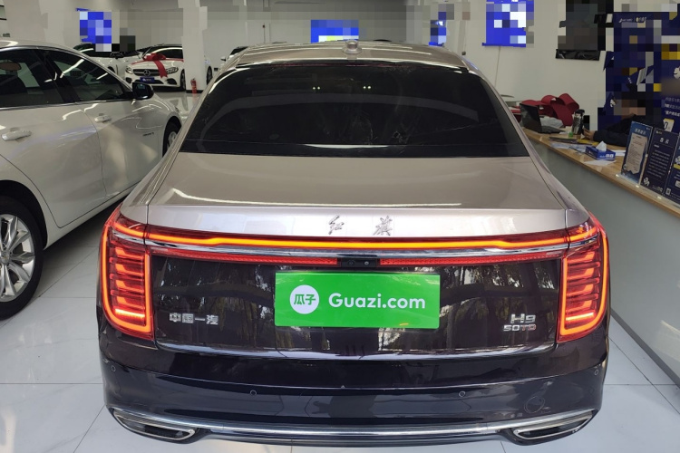 红旗H9 2020款 3.0T 智联旗领四座版车身外观6