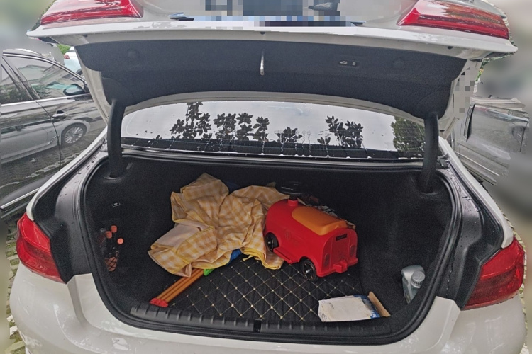 宝马5系 2018款 530Li 领先型 豪华套装局部细节23