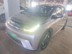 比亚迪 海豚 2021款 405km 时尚版